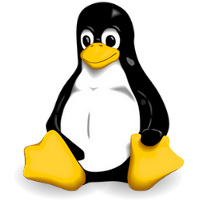 VPS Linux Servers